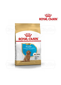 Thức Ăn Cho Chó Royal Canin Poodle Puppy