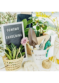 Kéo cắt tỉa cành cây Echo Metal 185-40mm lưỡi bằng thép cao cấp chuyên dụng không gỉ, sắc bén - made in Japan