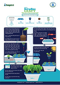 Bộ 1 chậu trồng rau ăn lá thủy canh tĩnh Growbox Leafy Kit 1 Hợp Trí Không bao gồm phân bón thủy canh