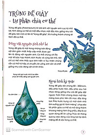 Sách Động Vật Kỳ Quặc