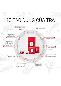 TRÀ VIỆT Hộp Quà Tri Ân Gỗ Thông Trắng New Zealand Cao Cấp