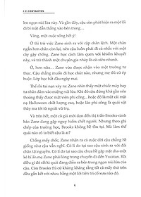 Sách Series Đứa Con Của Thần Maya Phần 1: Truy Bão