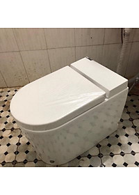 BỒN CẦU ĐÁ CHÂN TỰ ĐỘNG 580W