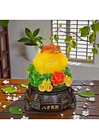 product-img-5