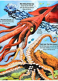 Sách Tương Tác - Big Book - Cuốn Sách Khổng Lồ Về Các Loài Động Vật Biển (Tái Bản 2018)