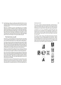 Học Tarot Cho Người Mới