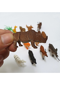 Bộ sưu tập 12 thú rừng Safari hoang dã (5-7 cm) bằng nhựa đặc nguyên khối, an toàn cho trẻ, thích hợp làm đồ chơi, mô hình học tập, nhận biết cho bé trai, bé gái trên 3 tuổi