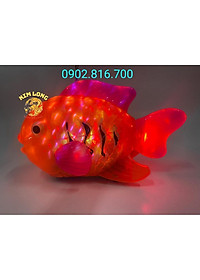 product-img-1