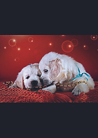 Tranh xếp Hình Tia Sáng Nương Tựa (247 Mảnh Ghép)