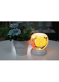 product-img-7