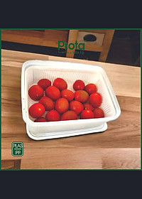 Combo 2 Hộp Thực Phẩm Prota PT961