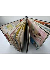 product-img-5
