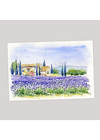 product-img-11