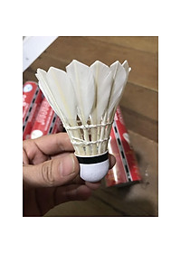 Hộp cầu lông Hải Âu_chính hãng loại hộp 6 quả và loại 12 quả