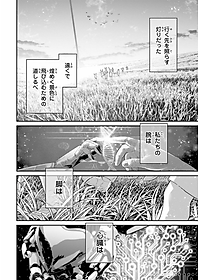 product-img-12