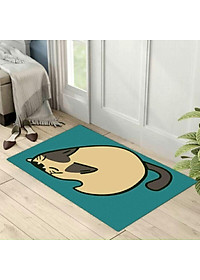 THẢM LAU CHÂN - THẢM CHÙI CHÂN 3D SIÊU THẤM thảm lau chân