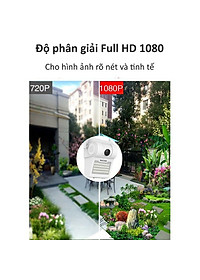product-img-5