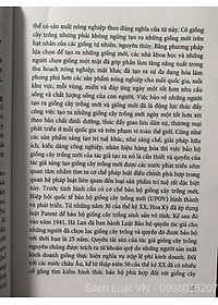 product-img-11