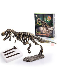 [Có sẵn] Mô hình Khủng Long hóa thạch - truy tìm dấu vết hóa thạch
