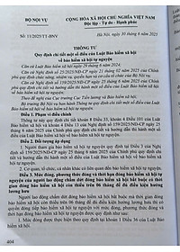 product-img-12