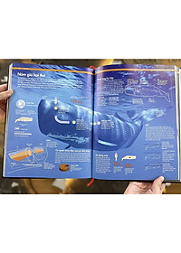 product-img-4