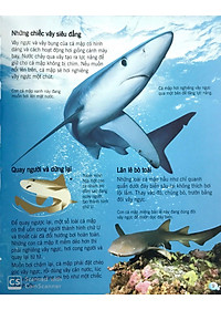 Sách Bách Khoa Tri Thức Về Khám Phá Thế Giới Cho Trẻ Em - Cá Mập (Tái Bản 2018)