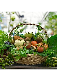 product-img-7