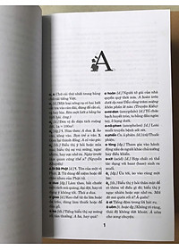 Từ Điển Tiếng Việt (Tái Bản) (Khổ nhỏ)
