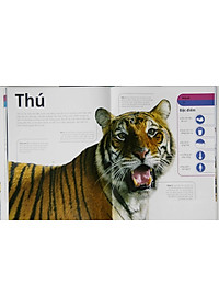 Sách Động Vật - Bách Khoa Thư Hình Ảnh Về Các Loài Vật Trên Trái Đất