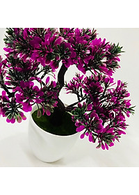 product-img-16
