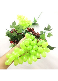 product-img-5
