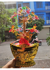 product-img-5