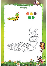 product-img-4