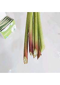 product-img-16