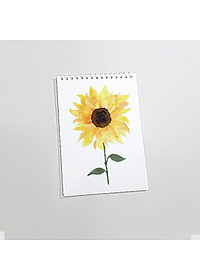 product-img-7