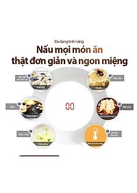 Nồi Chưng Yến, Nồi Hầm Kho Đa Năng, Nồi Nấu Chậm BEAR DDZ-B25Q3 Bản Tiếng Anh 5 Trong 1 BEAR Dung Tích 2.5 Lít Công Suất 400 W - Hàng Chính Hãng