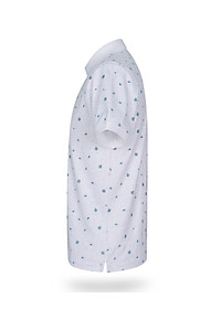 product-img-2
