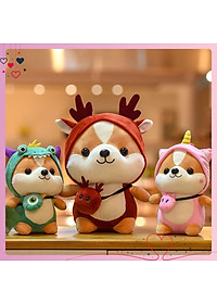 product-img-6