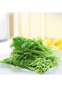 Hạt giống Cải Ngọt Đuôi Phụng 20gram