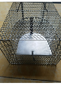product-img-1