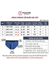 Quần lót nam tam giác Fasvin LSV2118.HN vải lưới thể thao thông hơi thoáng mát