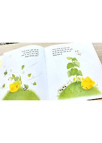 product-img-26