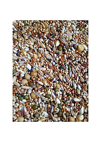 Ngũ cốc chim cu gáy đặc biệt 12 loại hạt Phụ kiện Kabosa