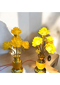 product-img-5