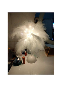product-img-1