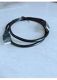 DÂY NGUỒN 2 ĐẦU USB ĐỰC DÀI 1M 