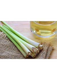 Tinh Dầu Sả VIETTINMART 1L