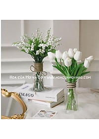 Bình Lọ Thủy Tinh Eo Nhỏ Merber