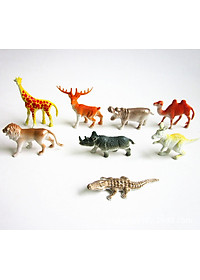 product-img-1