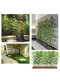 product-img-9